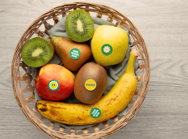 The Best High-Protein Fruits for Weight Loss and Healthy Living