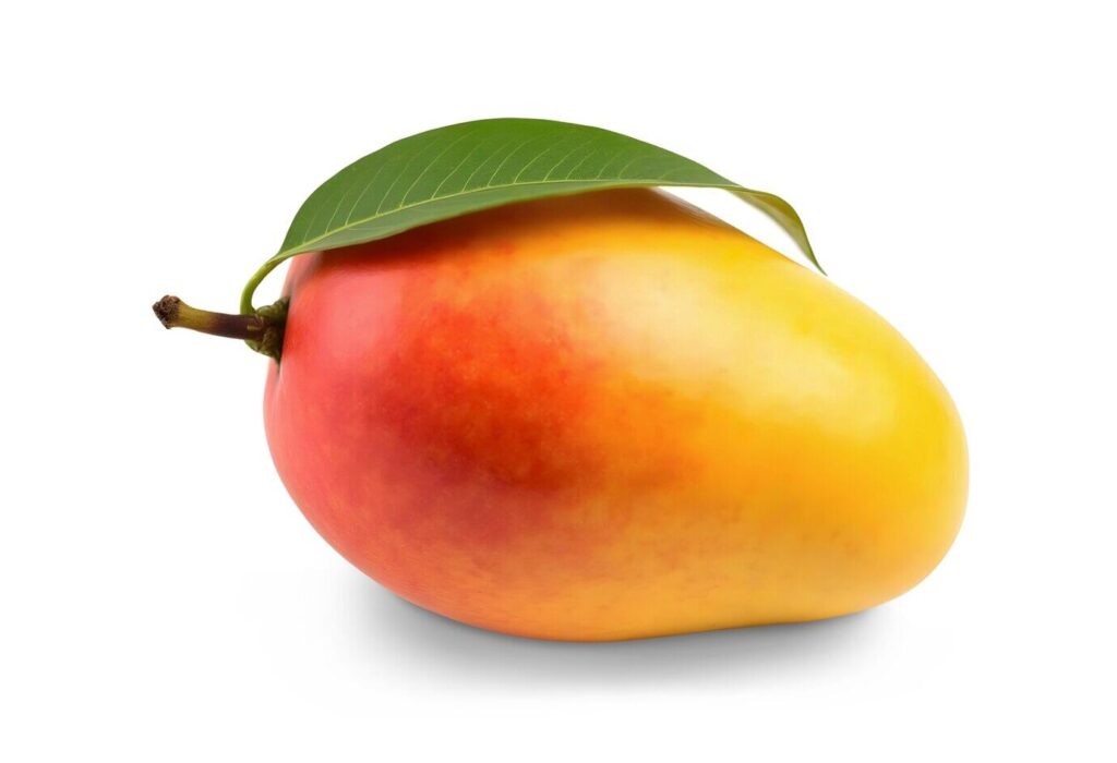Mango and Digestion: Natural Enzymes and Fiber