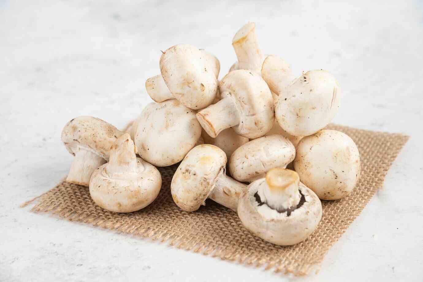 Health Benefits of Mushrooms
