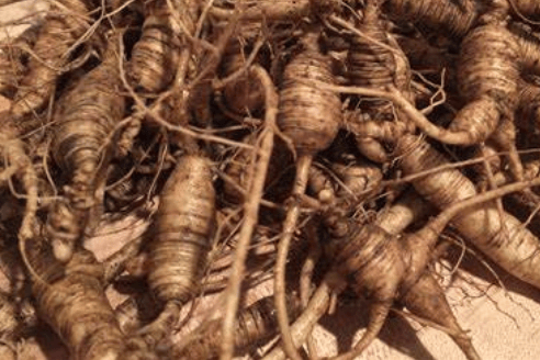 American Ginseng: Benefits for Men