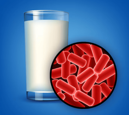 Best Probiotics for Weight Loss