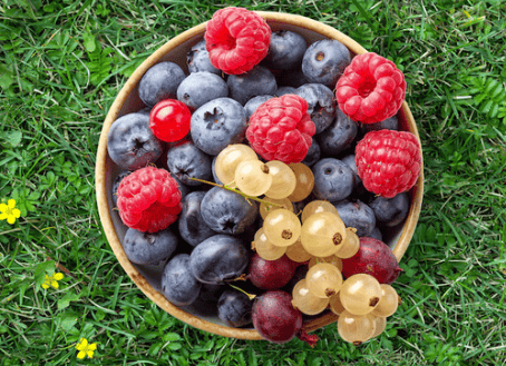 Top Foods High in Anthocyanins