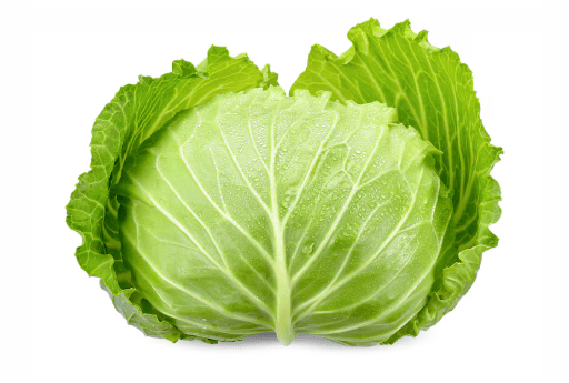 Red Cabbage vs Green Cabbage