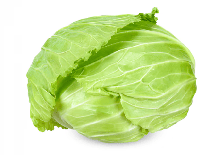 Cabbage Health Benefits