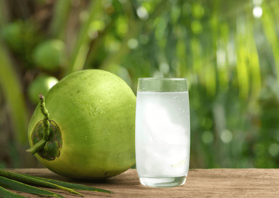 7 Health Benefits of Coconut Water