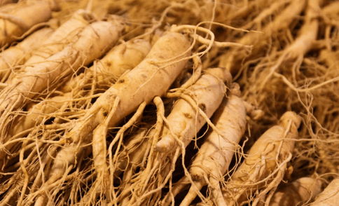 Is Ginseng Good for Heart Health?