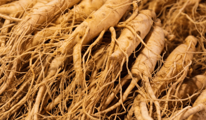 Is Ginseng Good for Men’s Health?