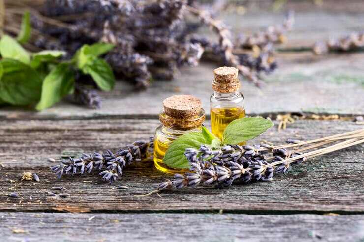 Lavender: The Classic Calming Oil