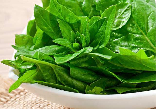 Spinach vs. Kale