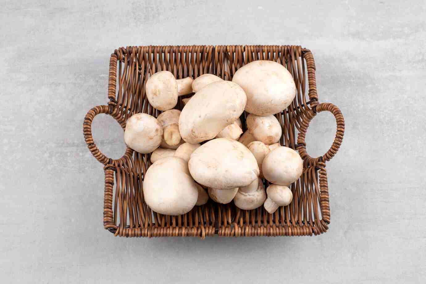 Are Mushrooms a Superfood?