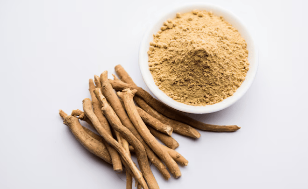 Top Adaptogens for Stress Relief and Mental Focus