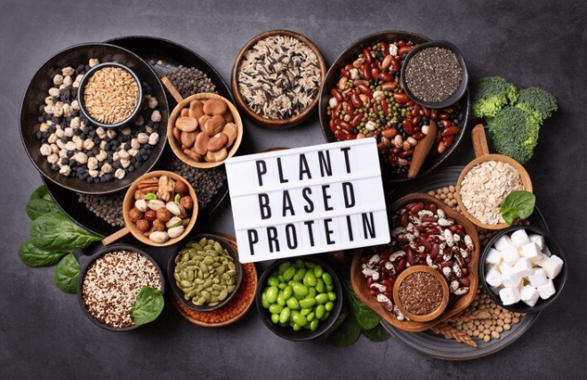 Top Health Benefits of Plant Protein