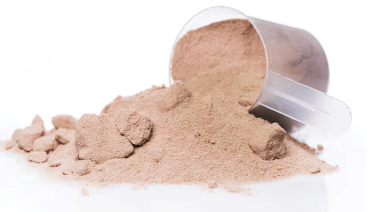 Whey Protein vs Plant Protein