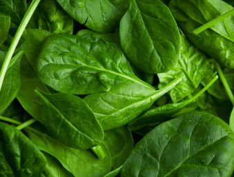 Cardiovascular Benefits of Spinach