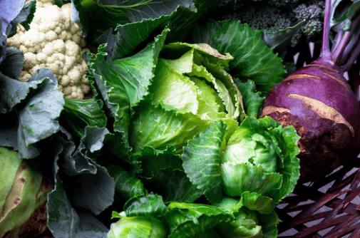 Top 10 Anti-Cancer Foods