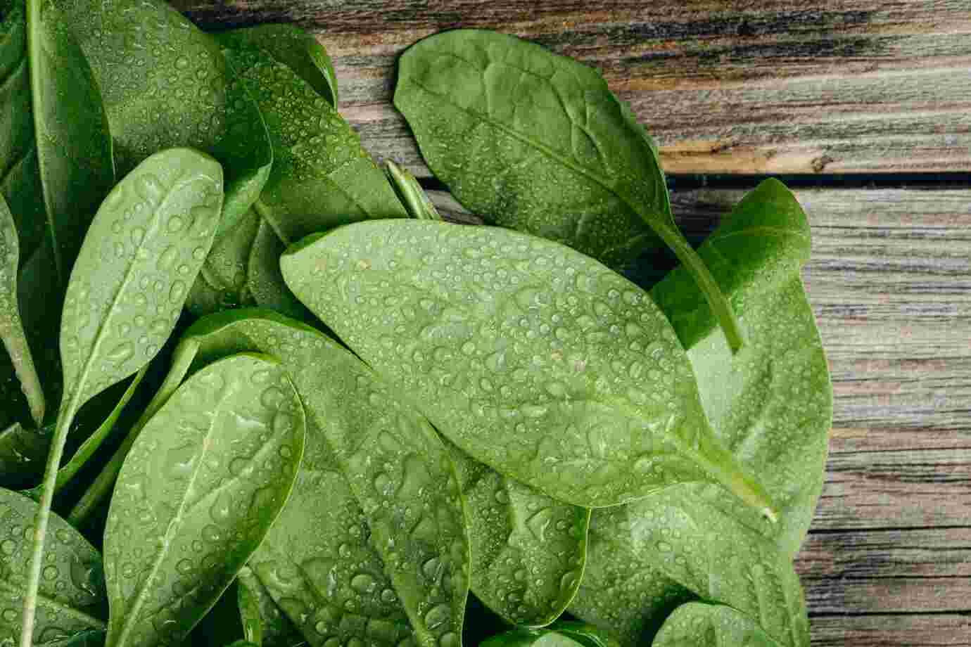 Best Leafy Greens for Weight Loss