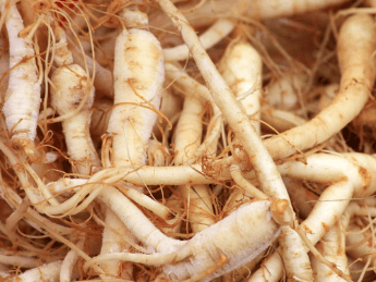 Ginseng