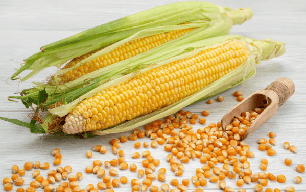 Is Corn High in Carbs?
