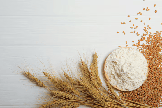 Is Gluten Bad for You?
