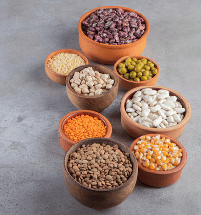 Legumes vs Grains