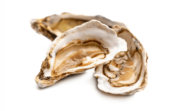 Health Benefits of Oysters