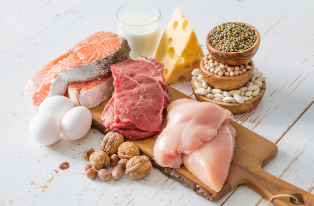 Protein vs Carbs