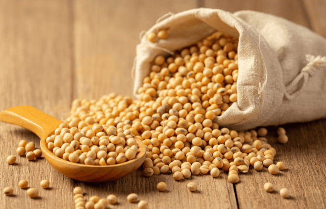 Is Soy Healthy?