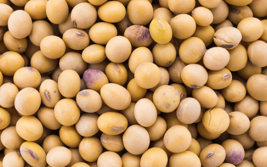 Can Eating Soy Help You Lose Belly Fat?