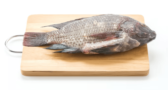 Is Tilapia Healthy?