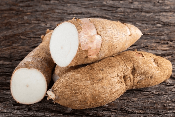 Is Tapioca Healthy?