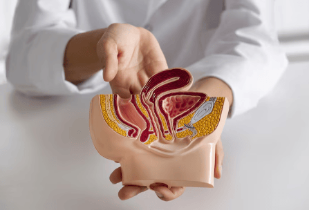 Natural Remedies for an Enlarged Prostate: What Really Works?
