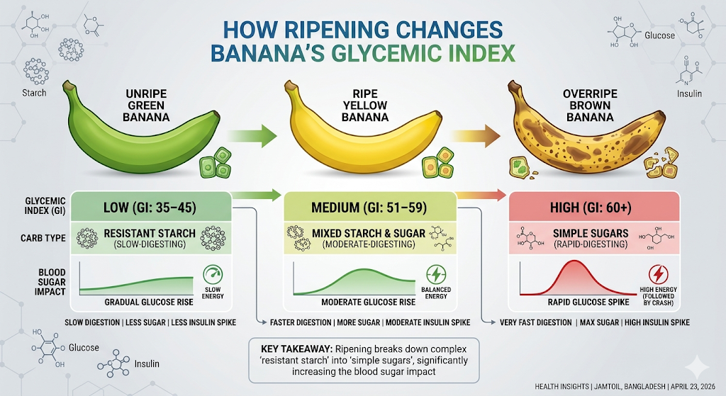 Illustration demonstrating how the ripening process increases the Glycemic Index of a banana.
