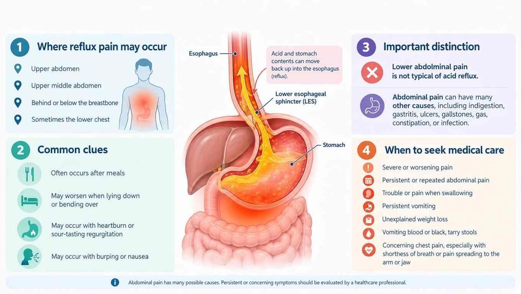 Acid reflux and abdominal pain infographic showing typical reflux pain locations, common symptoms, other possible causes of abdominal pain, and warning signs requiring medical care.