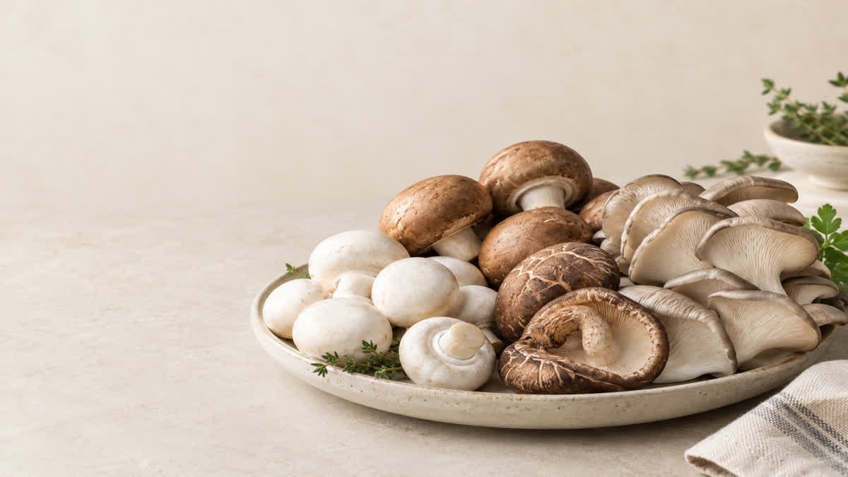 Fresh edible mushrooms illustrating the health benefits and nutritional value of mushrooms