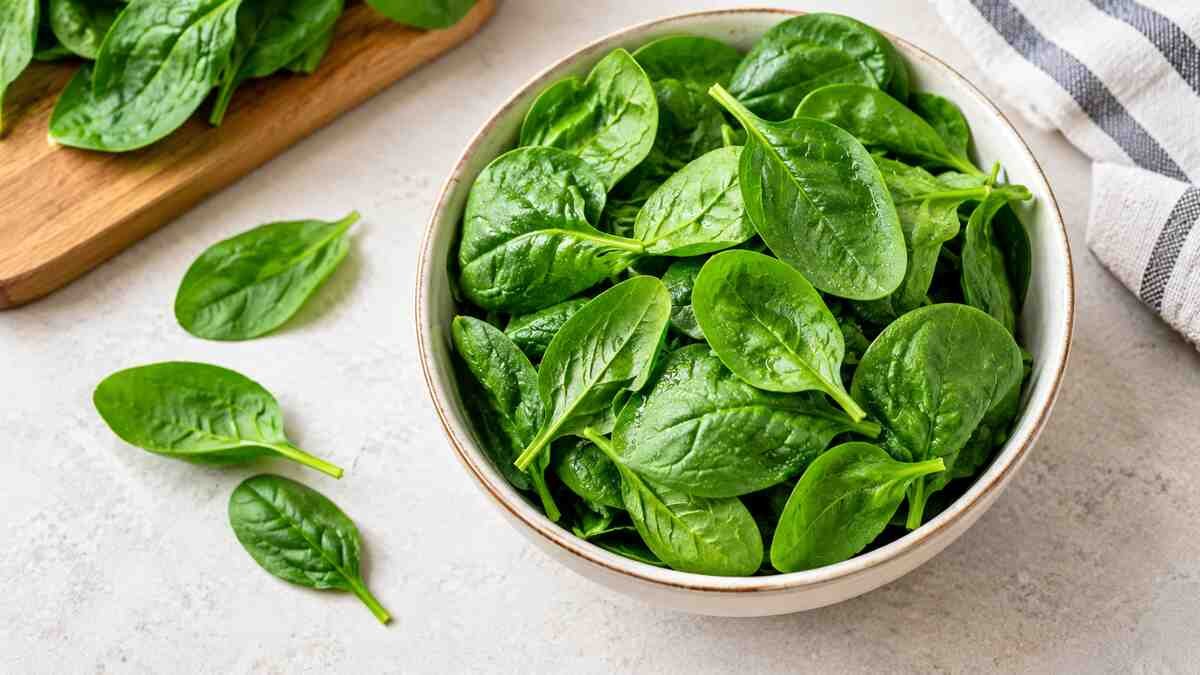 Fresh green spinach leaves in a bowl