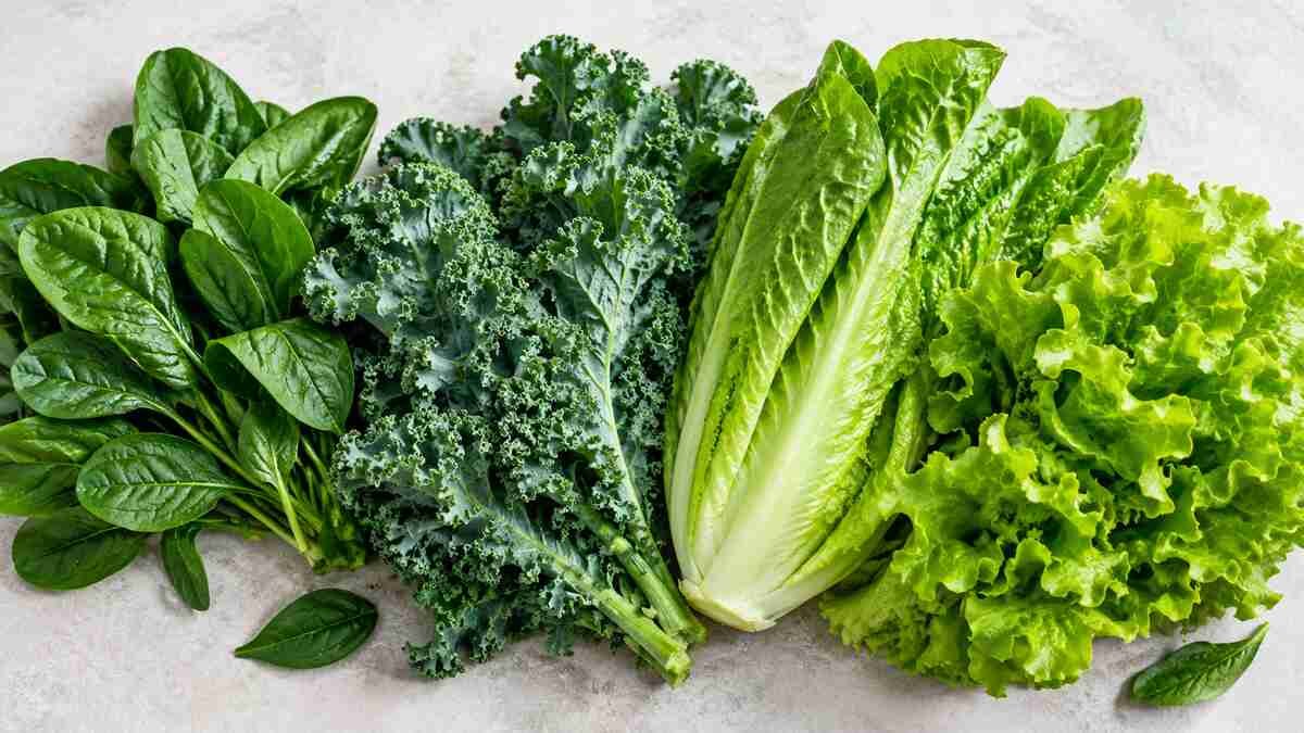 Assorted leafy green vegetables, including spinach, kale, and lettuce, arranged on a neutral background
