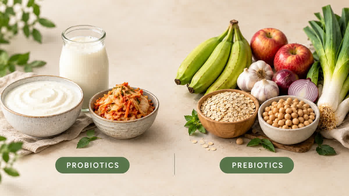 Yogurt, kefir, fermented vegetables, garlic, onions, oats, bananas, and apples illustrating probiotics and prebiotic foods