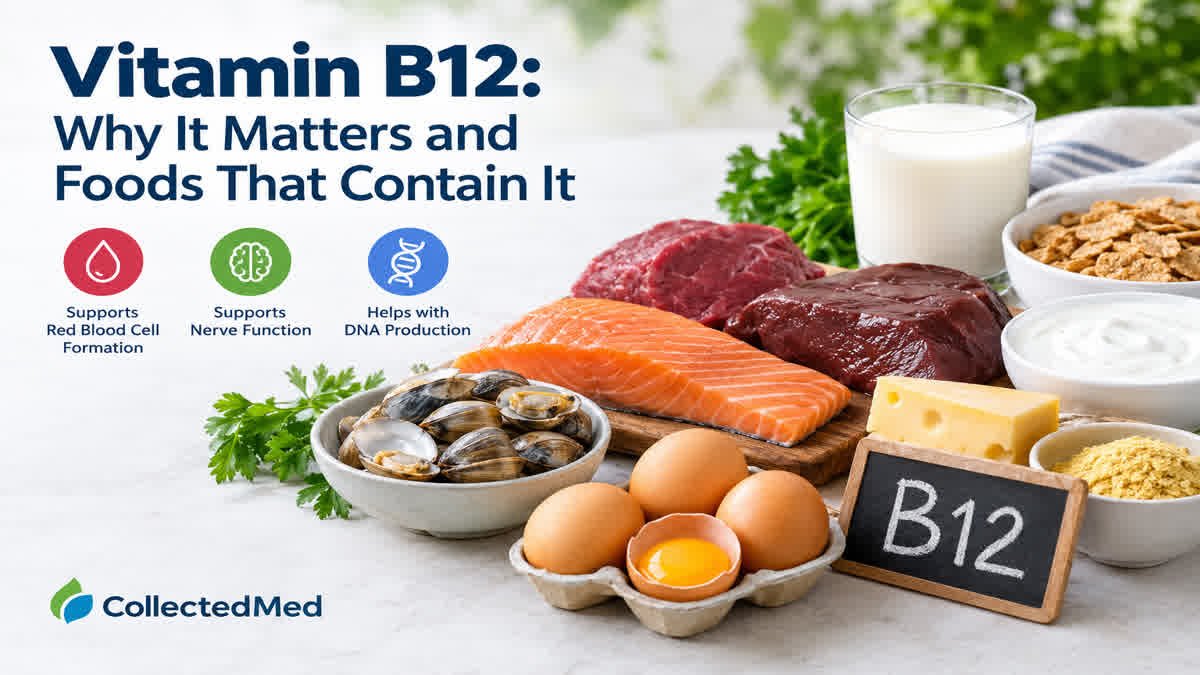 Vitamin B12 food sources including salmon, meat, clams, eggs, milk, yogurt, cheese, and fortified cereal.